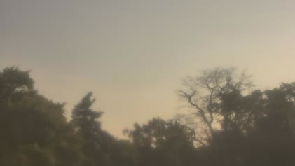2025-06-12