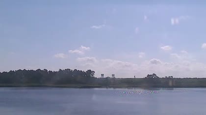 2025-06-29