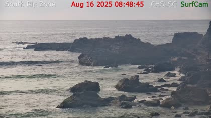 2025-08-16