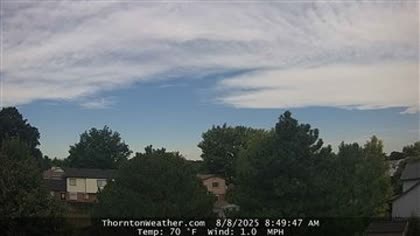 2025-08-08