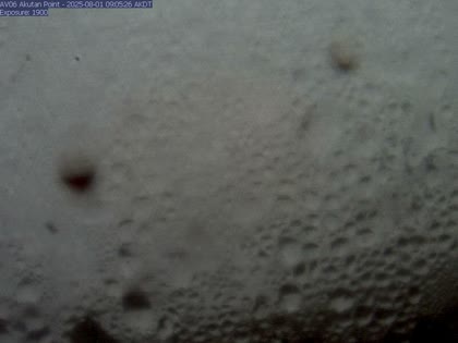 2025-08-01