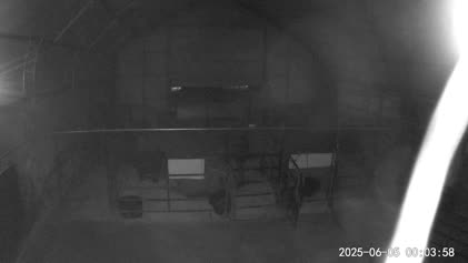 2025-06-05