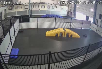 2025-08-03