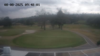 2025-08-08