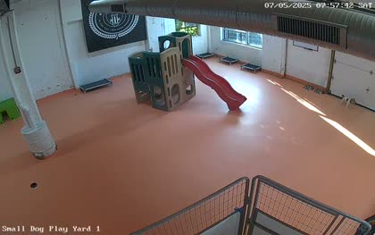2025-07-05