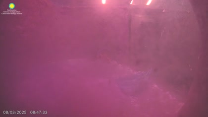 2025-08-03