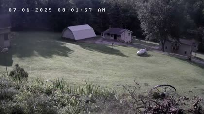 2025-07-06