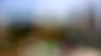 2025-06-29