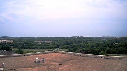 2025-08-05