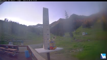 2025-07-08