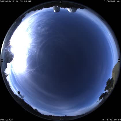 2025-05-29
