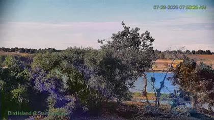 2026-07-29