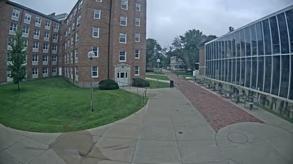 2025-07-25