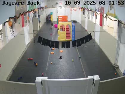 2025-10-09
