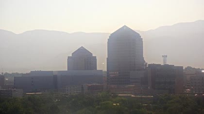 2025-07-08