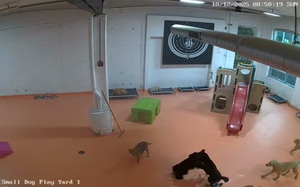 2025-10-12