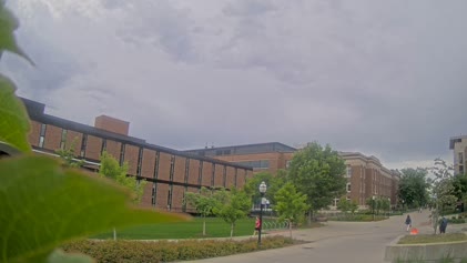 2025-05-29