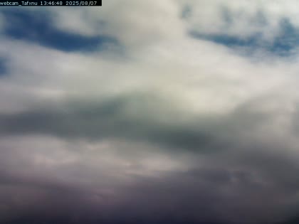 2025-08-07