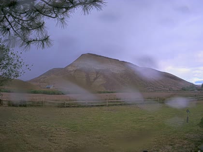 2026-05-16