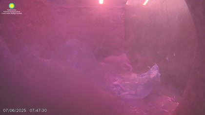 2025-07-06