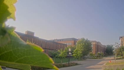 2025-06-04
