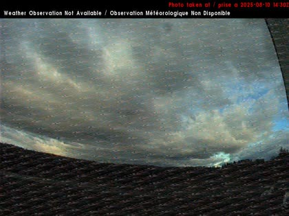 2025-08-10