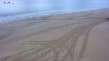 2025-08-05