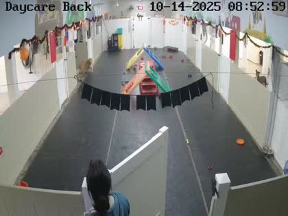 2025-10-14
