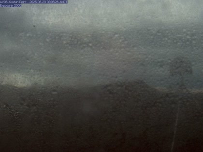 2025-06-29