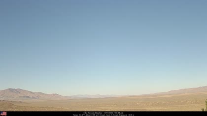 2025-08-11