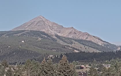 2025-08-10