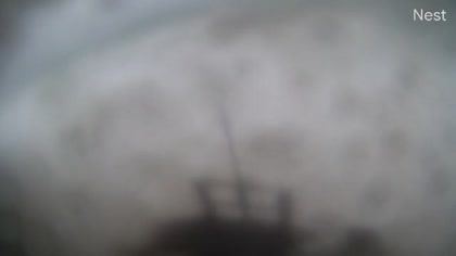 2025-10-08