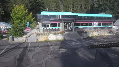 2025-07-20