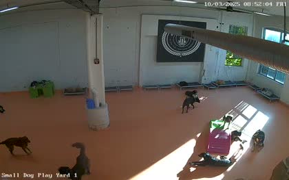 2025-10-03