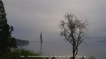 2025-08-04