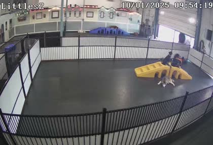 2025-10-01