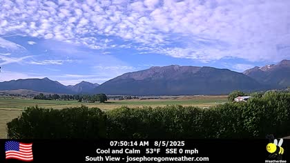 2025-08-05