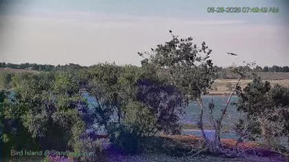 2026-06-28