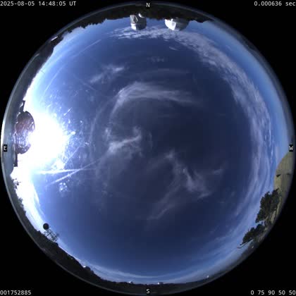 2025-08-05