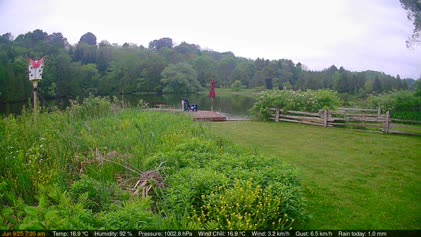 2025-06-09