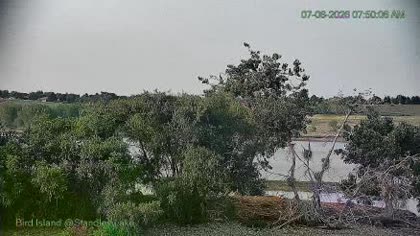2026-07-06