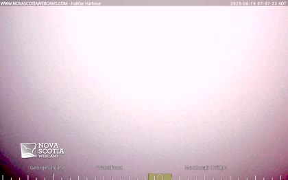 2025-06-19