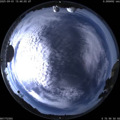 2025-09-01