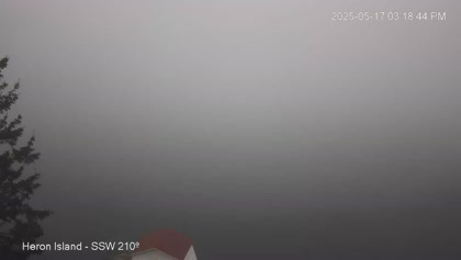 2025-05-19