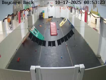 2025-10-17