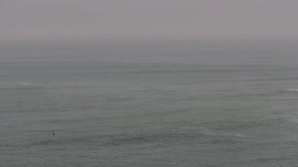 2025-10-11
