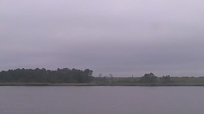 2025-09-11