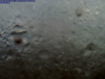 2025-07-30