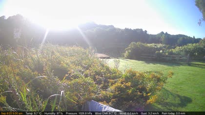 2025-09-09