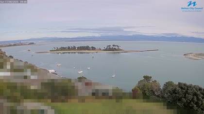 2025-08-16
